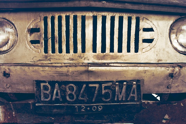 Plates of the Past: Unraveling the Stories Behind Vintage License Plates